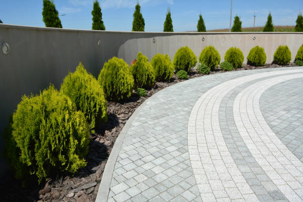 Best Driveway Pavers Near Me  in East Mountain, TX